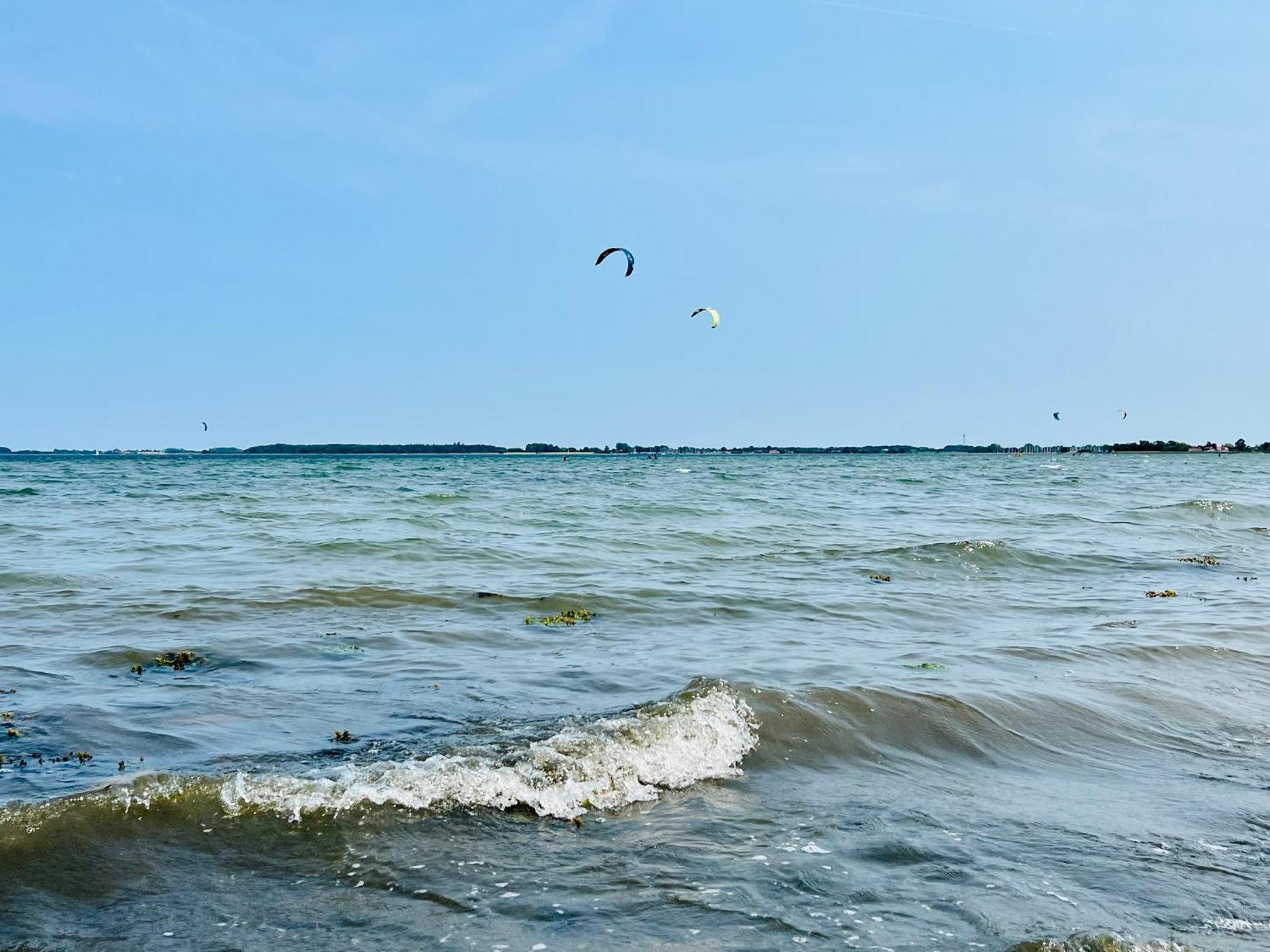 Strandmuschel גלטינג מראה חיצוני תמונה